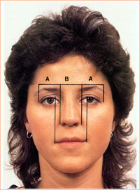 Идеальные пропорции лица 2