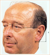 Идеальные пропорции лица 4