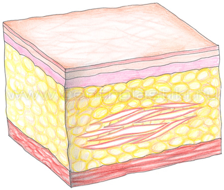 Инъекционный липолиз