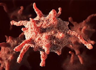 Плазмолифтинг