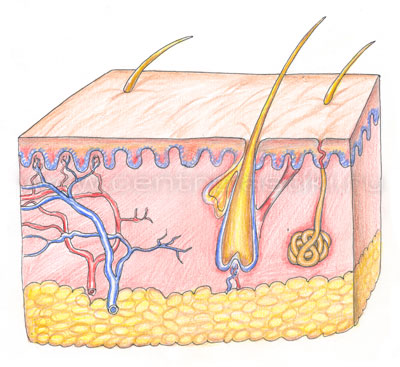 Удаление татуировки лазером
